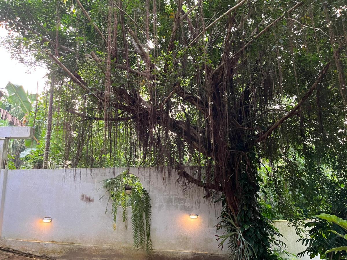 Villa Dinoos- Weligama Εξωτερικό φωτογραφία