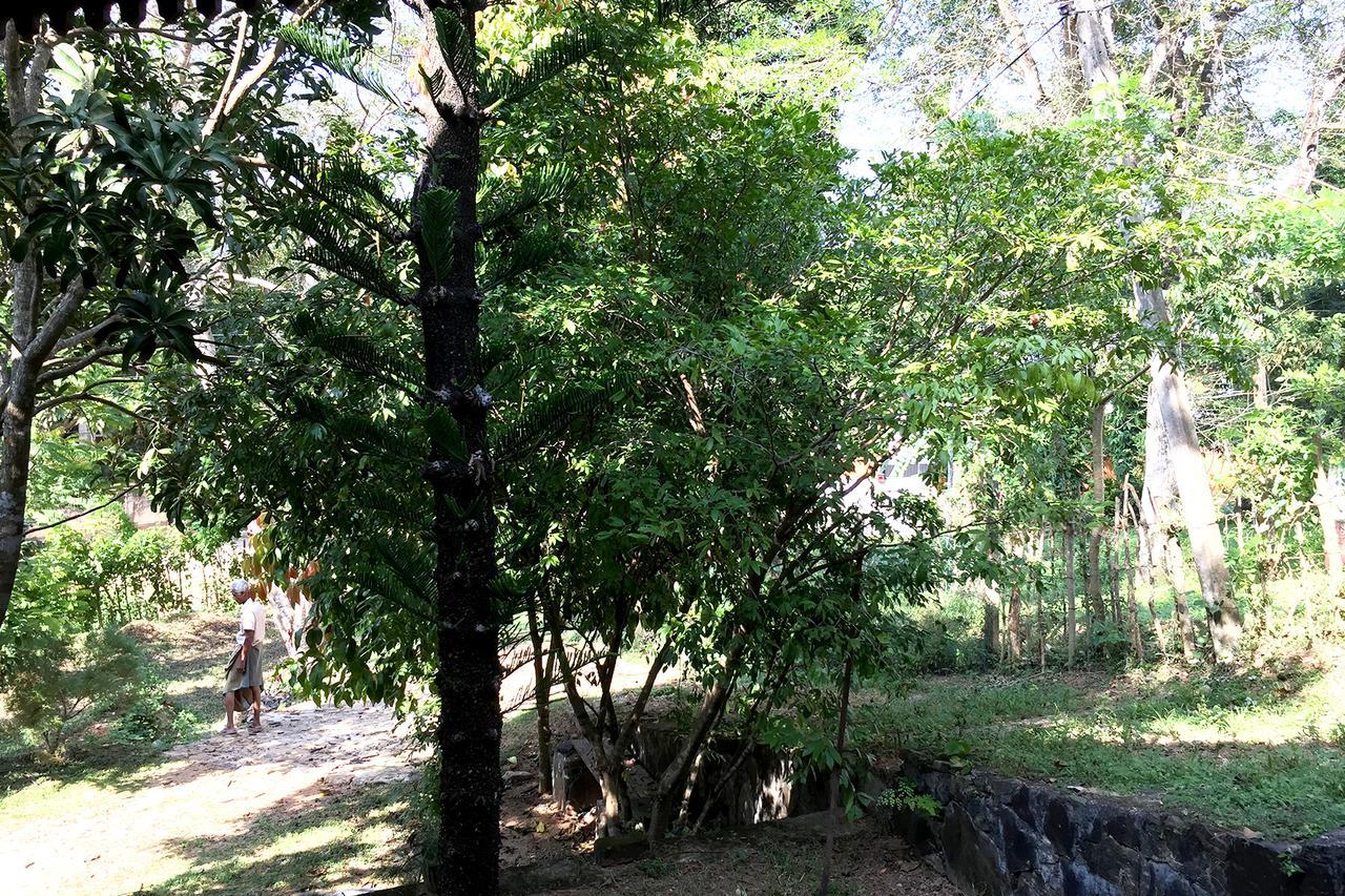 Villa Dinoos- Weligama Εξωτερικό φωτογραφία
